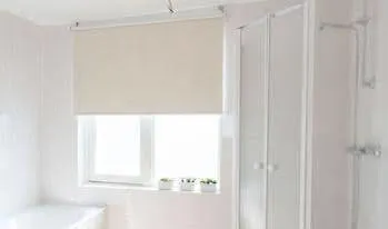 Gentiana * Amsterdam